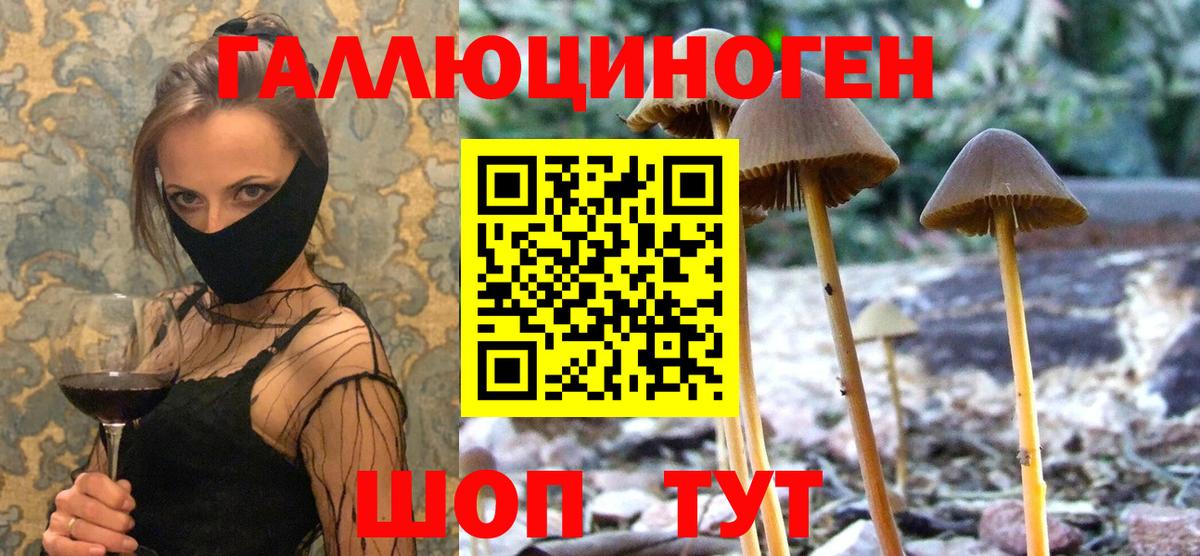 сколько стоит  Вход с VPN  Александров  Псилоцибиновые грибы MAGIC MUSHROOMS 