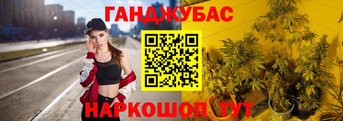 Конопля семена Александров